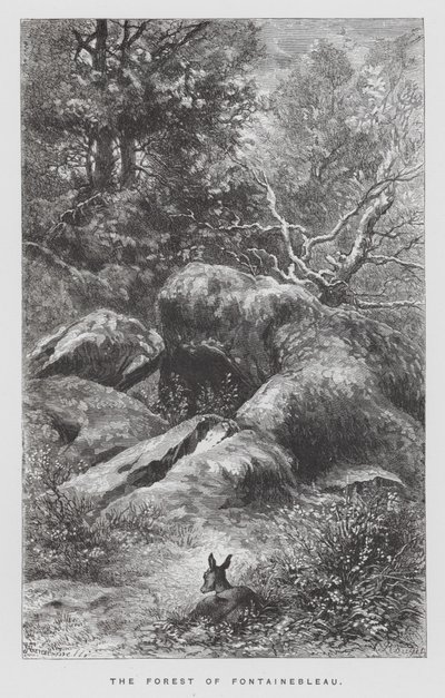 Owad: Las Fontainebleau (rycina) autorstwa Hector Giacomelli