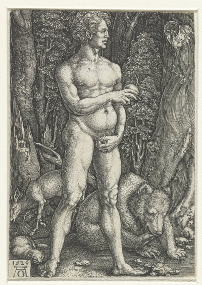 Adam autorstwa Heinrich Aldegrever
