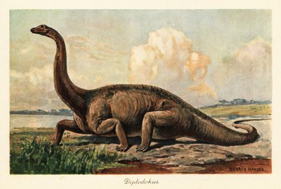 Wymarły Diplodocus longus na równinach. autorstwa Heinrich Harder