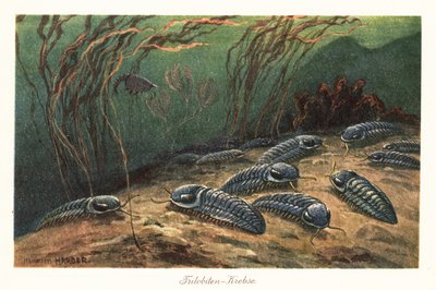 Wymarłe trylobity na dnie oceanu. autorstwa Heinrich Harder
