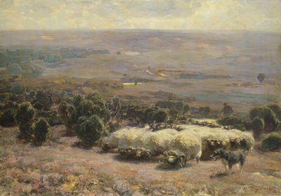 Stado owiec w Luneburger Heide, 1902 autorstwa Heinrich Johann von Zugel