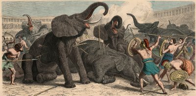 Starożytny Rzym: Słonie giną w amfiteatrze, 1866 autorstwa Heinrich Leutemann