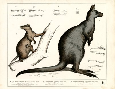  autorstwa Heinrich Leutemann