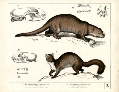  autorstwa Heinrich Leutemann