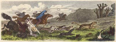 Polowanie na pumę z lassami w Brazylii (kolorowy grawer) autorstwa Heinrich Leutemann