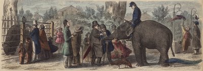 W ogrodzie zoologicznym w Niemczech (kolorowy grawerunek) autorstwa Heinrich Leutemann