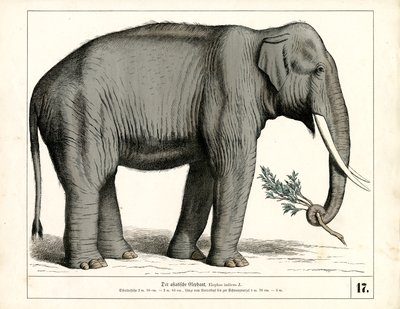  autorstwa Heinrich Leutemann