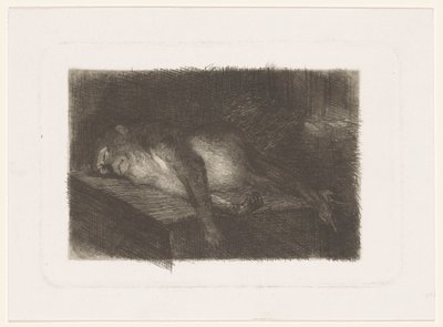 Leżąca, śpiąca małpa autorstwa Heinrich M. Krabbé