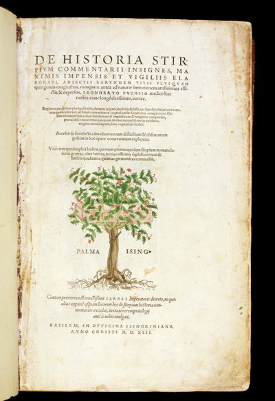 Strona tytułowa z „De Historia Stirpium Commentarii Insignes” Leonarda Fuchsa (1501-66), sztychowanej przez Rodolphe Speckle (zm. 1550), wydanej w 1542 autorstwa Heinrich and Meyer, Albert Fullmaurer