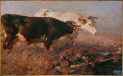 Krowy na wrzosowisku autorstwa Heinrich von Zügel