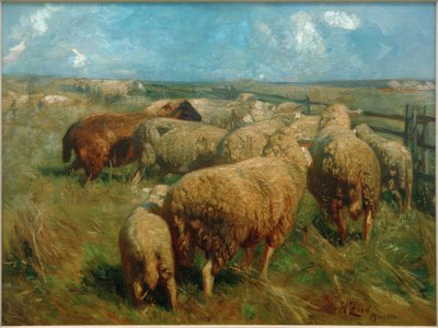 Stado owiec w środku lata autorstwa Heinrich von Zügel
