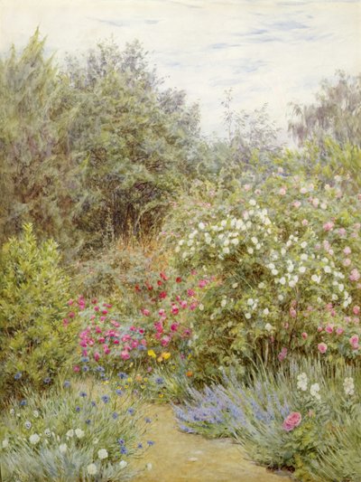 Róże w ogrodzie Gertrude Jekyll, Surrey (akwarela na papierze) autorstwa Helen Allingham