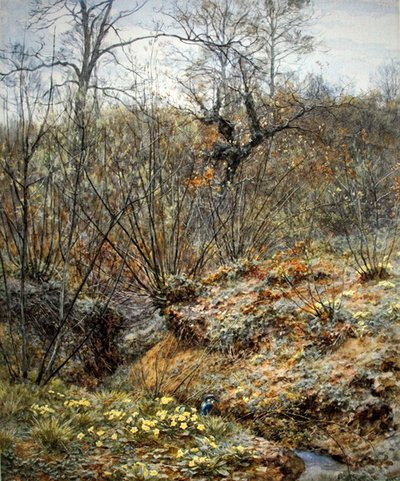 Wiosenny zagajnik, Witley, Surrey (akwarela na papierze) autorstwa Helen Allingham