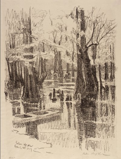 Cypress Swamp autorstwa Helen Hyde