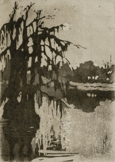 Drzewa cyprysowe autorstwa Helen Hyde