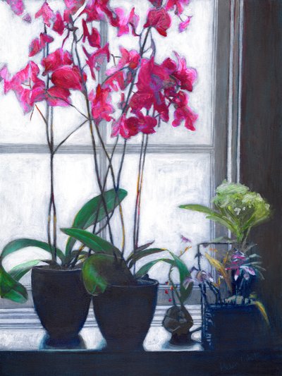 Okno Amsterdamu, 2021 autorstwa Helen White