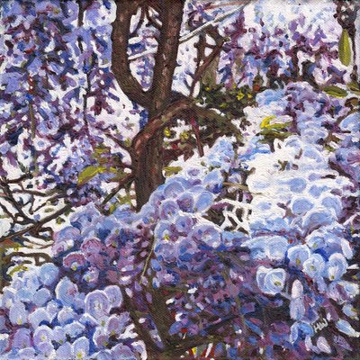 Niebieska glicynia, 2012 autorstwa Helen White