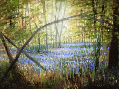 Bluebell Glade, 2024 (olej na płótnie) autorstwa Helen White