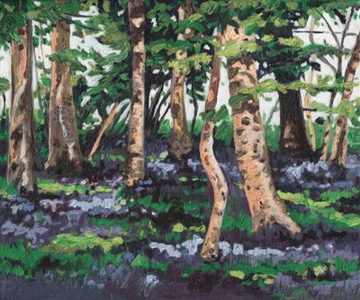 Bluebell wood, 2009, autorstwa Helen White