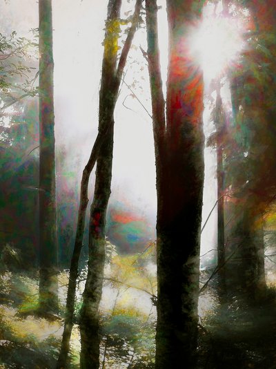 Odważ się uwierzyć, 2018 autorstwa Helen White