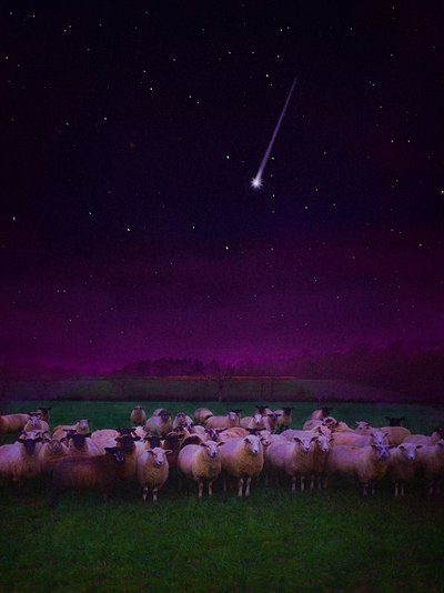 Stado nocą, 2019 autorstwa Helen White