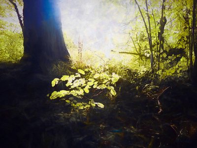 Święte miejsce, 2018 autorstwa Helen White