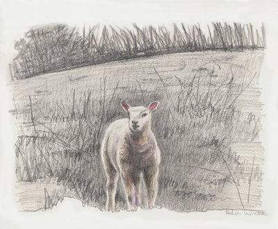 Lamby, 2016 r. autorstwa Helen White