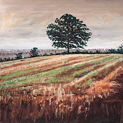 Pole późnego popołudnia, 2009 autorstwa Helen White