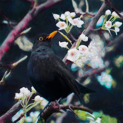 Władca Letniej Piosenki, 2019 autorstwa Helen White