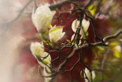 Magnolia, 2018 autorstwa Helen White