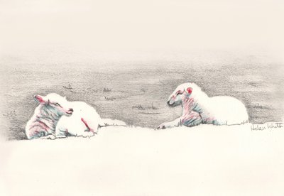 Drzemka, 2016, (rysunek ołówkiem) autorstwa Helen White
