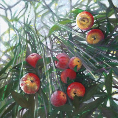 Nowe światło na Eden, 2016, autorstwa Helen White