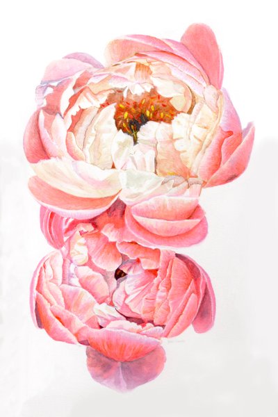 Piwonie, 2021 autorstwa Helen White