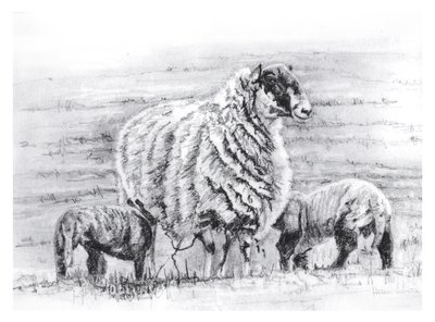 Dumny, 2012 autorstwa Helen White