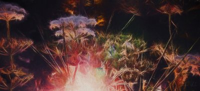 Radiant Hedgerow, 2018, autorstwa Helen White