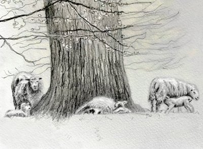 Shady Tree, 2022 autorstwa Helen White