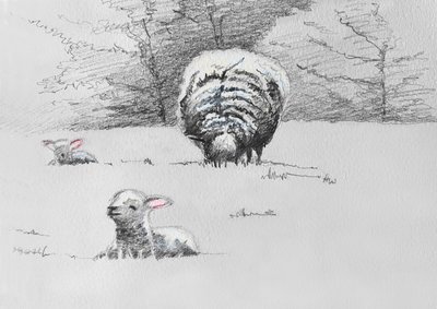 Sheep Trio, 2022 autorstwa Helen White