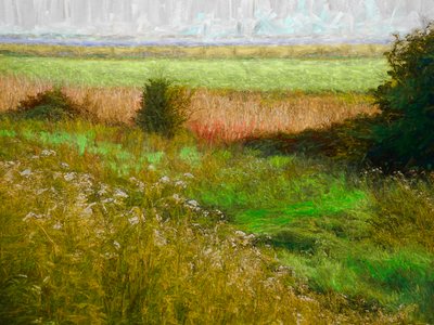 Letnia Łąka, 2019 autorstwa Helen White