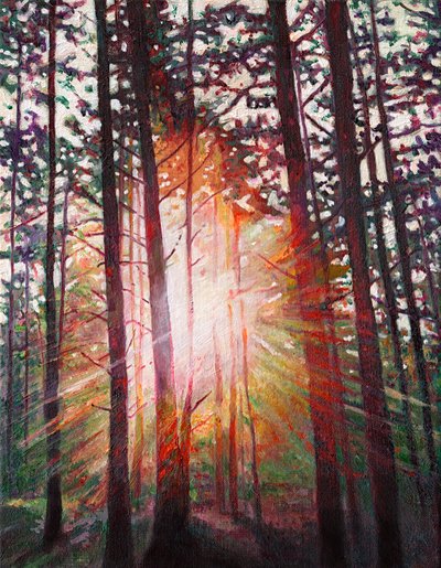 Sunburst, 2010 autorstwa Helen White