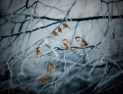 Tętniące życiem, 2019 autorstwa Helen White