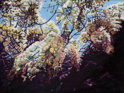 Biała wisteria, 2012, autorstwa Helen White