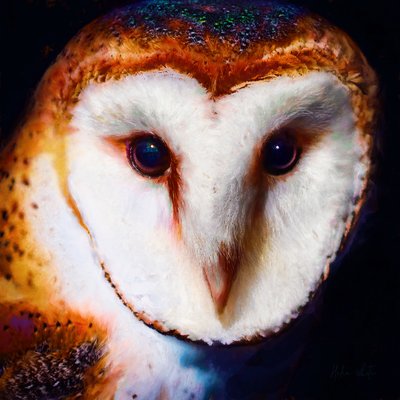 Mądrość w ciemności, 2019 (media mieszane) autorstwa Helen White