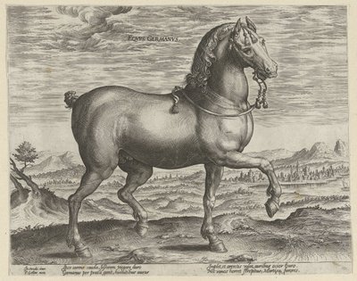 Ogier z Niemiec Eqvvs Germanvs (tytuł na obiekcie) Rasy koni z Królewskich Stajni Don Juana Austrii (tytuł serii) Equile Ioannis Austriaci Caroli (tytuł serii) autorstwa Hendrick Goltzius (possibly)