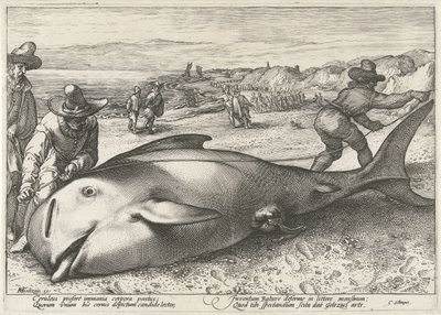 Wieloryb grindwalowiec na plaży w Zandvoort, 1594 autorstwa Hendrick Goltzius (workshop of)