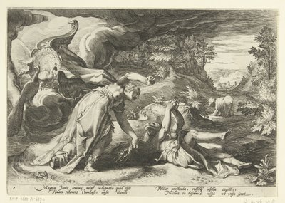Juno zamienia Callisto w niedźwiedzia Metamorfozy Owidiusza (tytuł serii) autorstwa Hendrick Goltzius (workshop of)