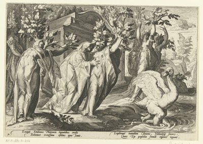Siostry Phaethona zamieniają się w topole, a jego przyjaciel w łabędzia Metamorfozy Owidiusza (tytuł serii) autorstwa Hendrick Goltzius (workshop of)