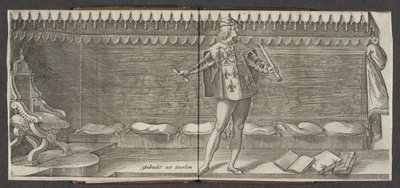 Zwiastować Pochodzenie i krótka historia hrabiów Hollandta Zeelandta i de Vrieslandta (tytuł serii) Hrabiów i hrabiny Holandii (tytuł serii) autorstwa Hendrick Goltzius