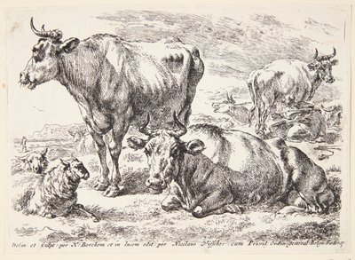 Portret członka rodziny Out. Cornelis Out (?) autorstwa Hendrick Goltzius