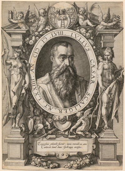 Portret Juliusza Cezara Scaligera autorstwa Hendrick Goltzius