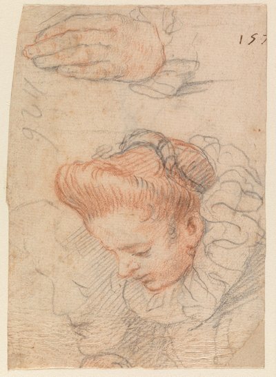 Arkusik szkicowy z głową kobiety i dłonią autorstwa Hendrick Goltzius